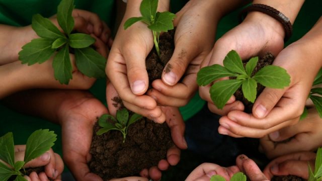 Együtt, egymásért, önmagunkért