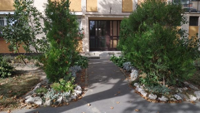 Közösségek teremtő ereje