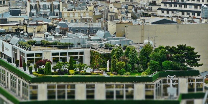 Kreatív közösségi élettér-fejlesztés egyik lehetősége